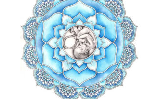 Napa Midwifery, Northbay